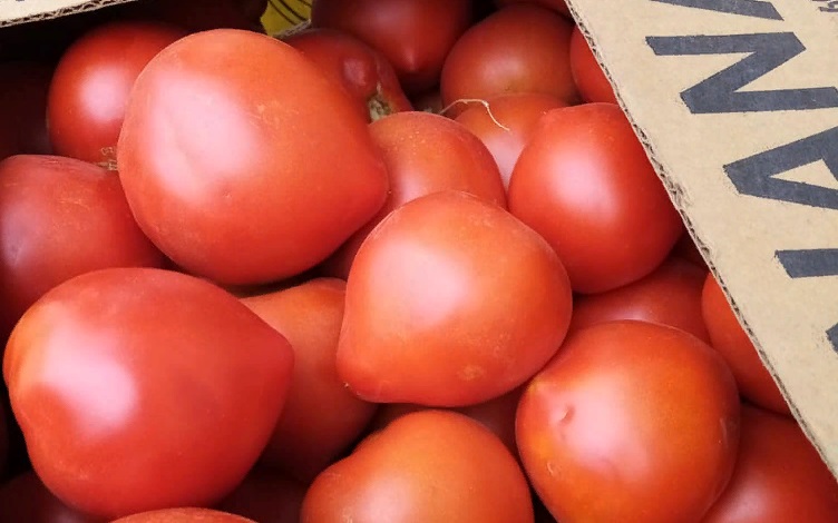 Цена на помидоры